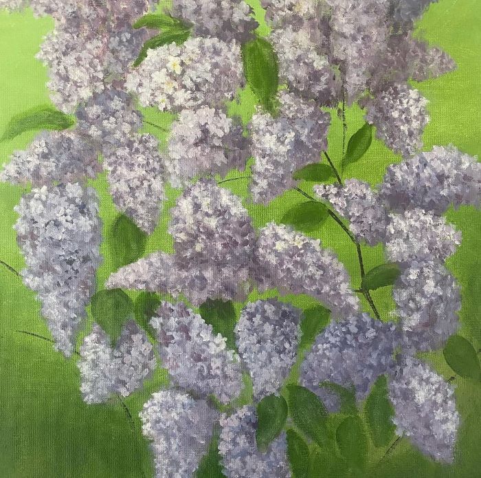 Spring Lilacs